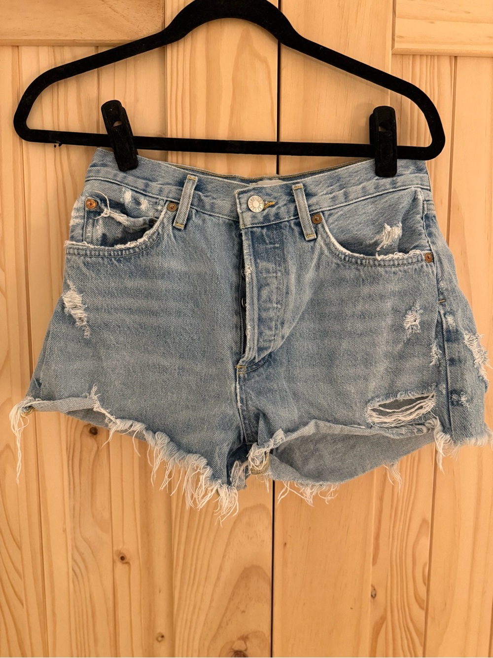 AGOLDE Parker Vintage Cutoff Shorts